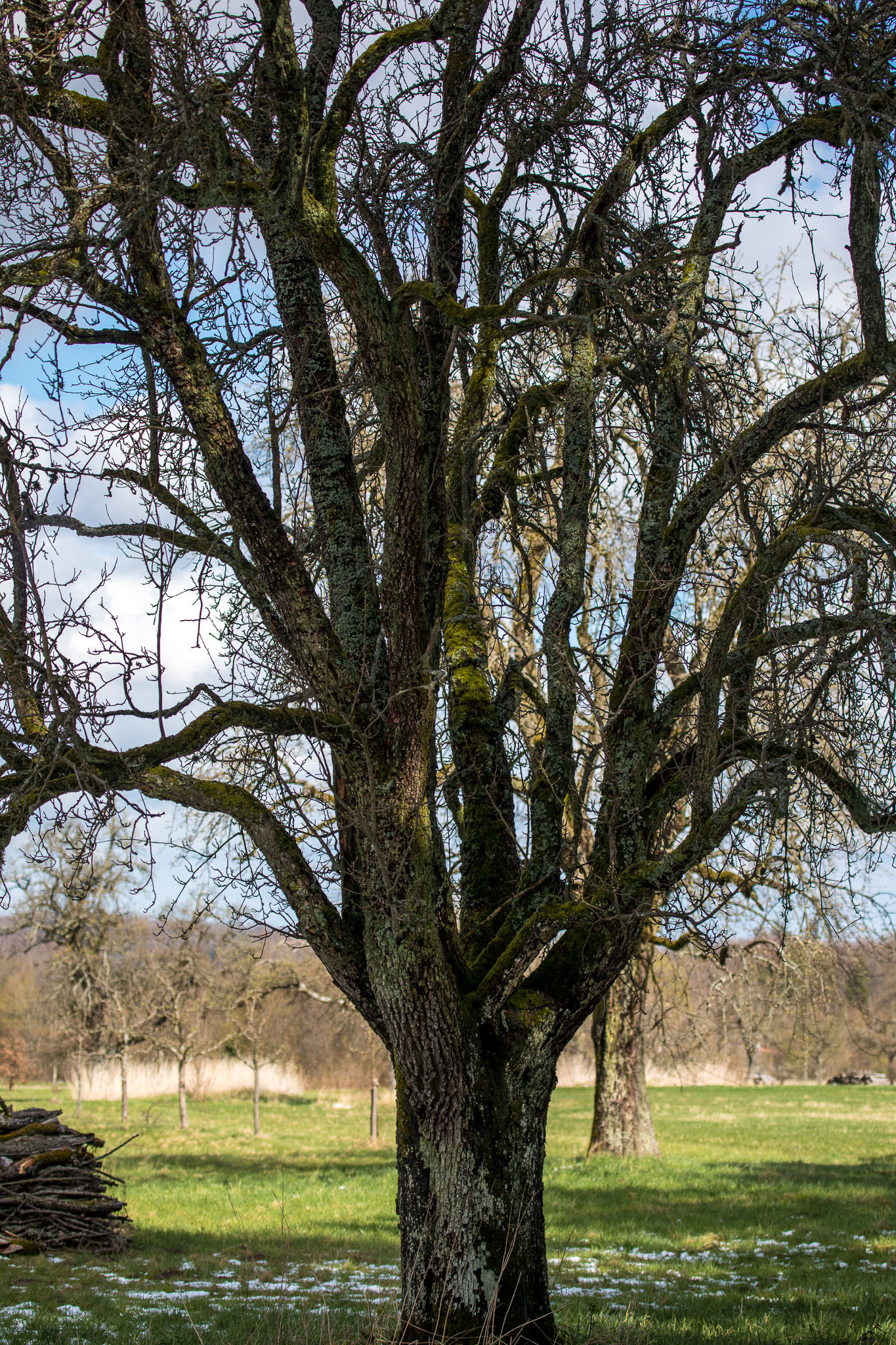 20220409153827 RD4 6500